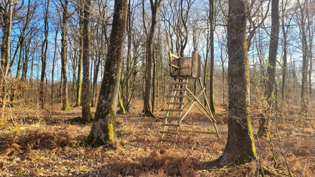 20240323_174251 - Copie