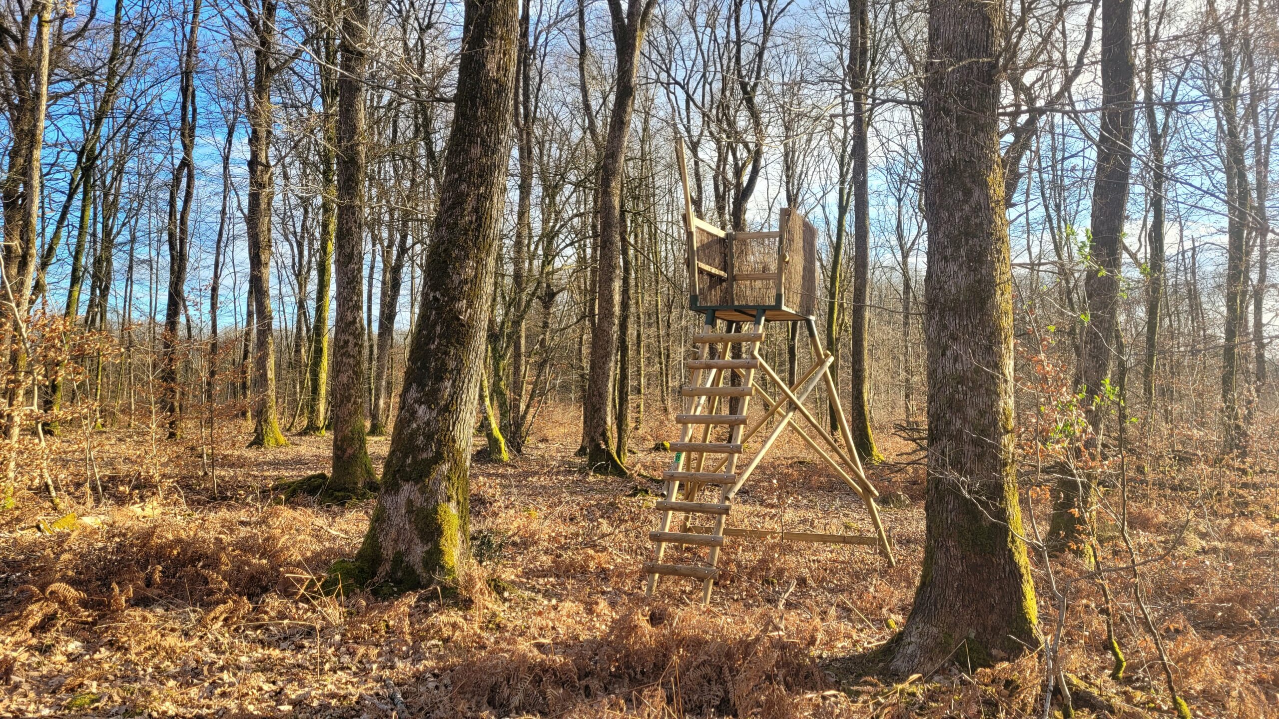 20240323_174251 - Copie